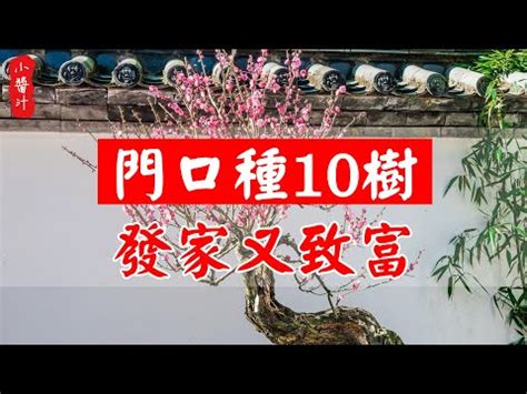 家門口種扁柏|柏樹禁忌 :: 農作物專家